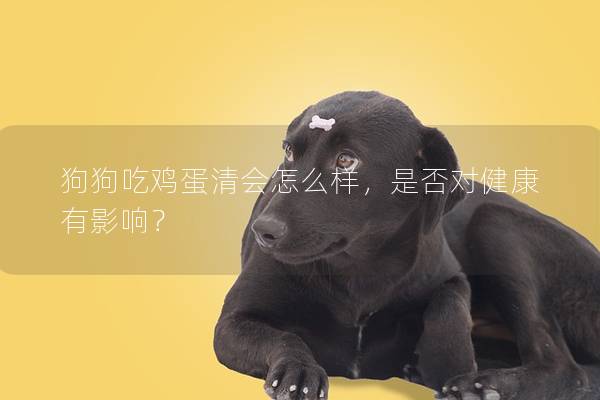 狗狗吃鸡蛋清会怎么样，是否对健康有影响？