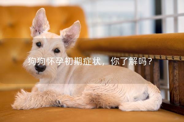 狗狗怀孕初期症状，你了解吗？