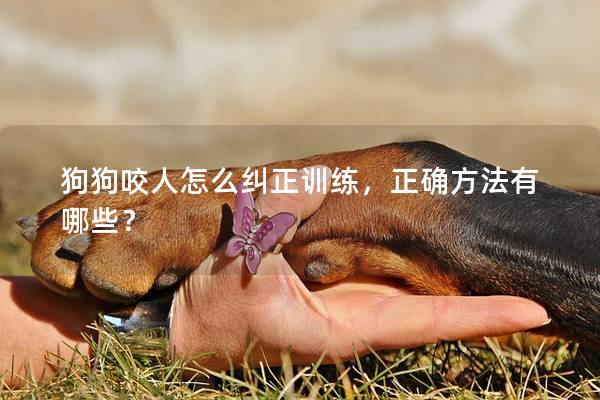 狗狗咬人怎么纠正训练，正确方法有哪些？