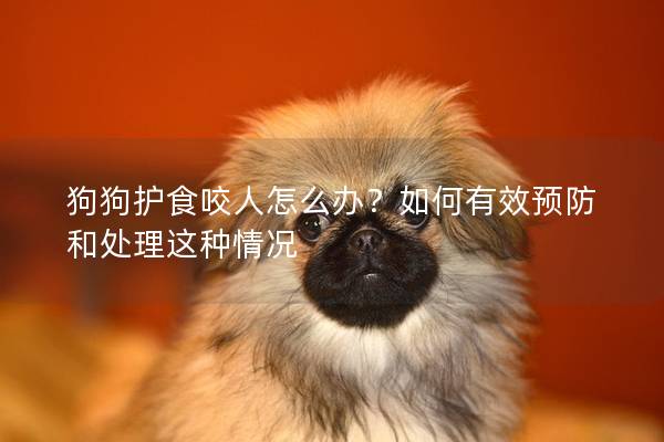 狗狗护食咬人怎么办？如何有效预防和处理这种情况