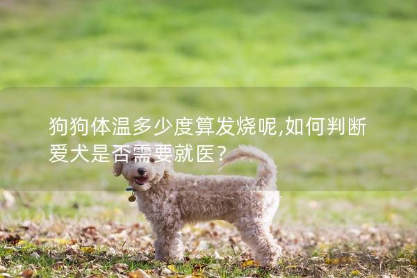 狗狗体温多少度算发烧呢,如何判断爱犬是否需要就医？