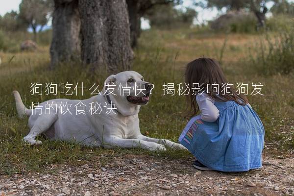 狗狗吃什么发情快？揭秘影响狗狗发情的饮食秘诀