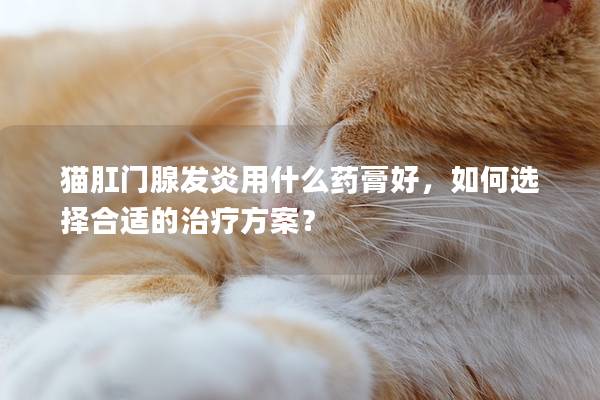 猫肛门腺发炎用什么药膏好，如何选择合适的治疗方案？