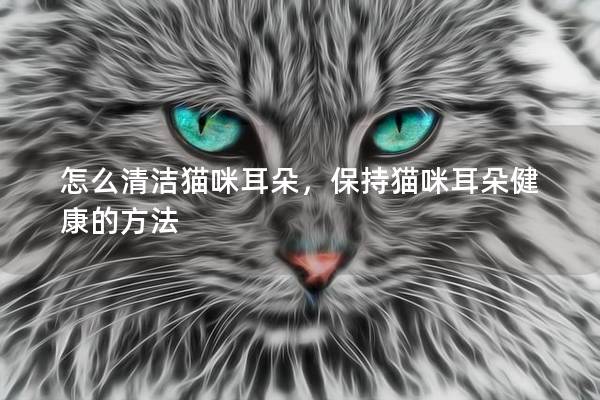 怎么清洁猫咪耳朵，保持猫咪耳朵健康的方法