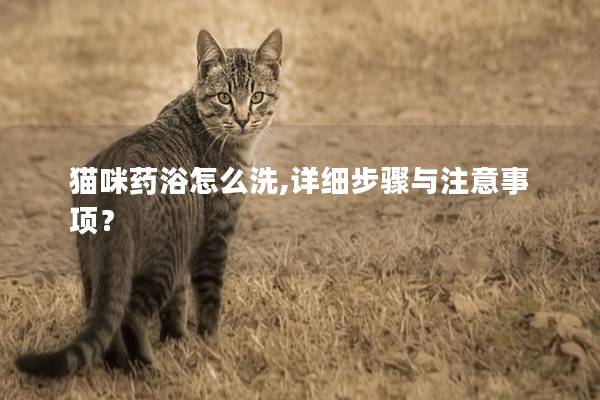 猫咪药浴怎么洗,详细步骤与注意事项？