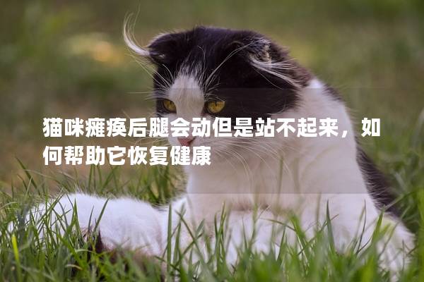 猫咪瘫痪后腿会动但是站不起来，如何帮助它恢复健康