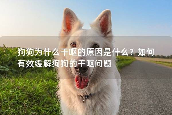 狗狗为什么干呕的原因是什么？如何有效缓解狗狗的干呕问题
