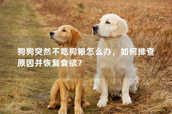 狗狗突然不吃狗粮怎么办，如何排查原因并恢复食欲？