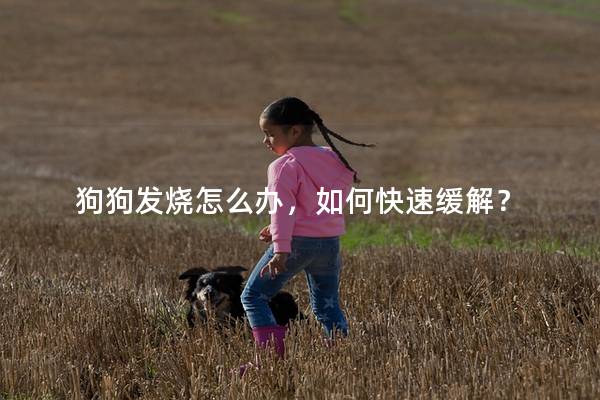 狗狗发烧怎么办，如何快速缓解？