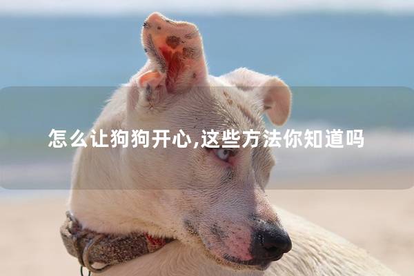 怎么让狗狗开心,这些方法你知道吗
