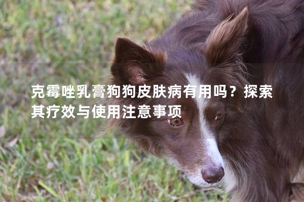 克霉唑乳膏狗狗皮肤病有用吗？探索其疗效与使用注意事项