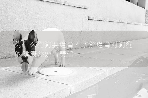 为什么狗狗要绝育？了解绝育对狗狗的健康益处与责任