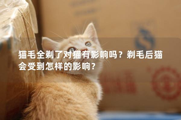 猫毛全剃了对猫有影响吗？剃毛后猫会受到怎样的影响？
