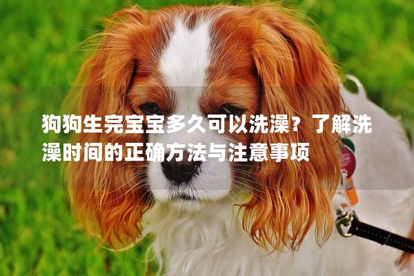 狗狗生完宝宝多久可以洗澡？了解洗澡时间的正确方法与注意事项