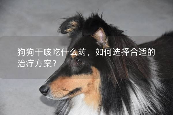 狗狗干咳吃什么药，如何选择合适的治疗方案？