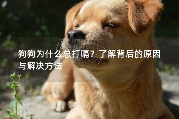狗狗为什么总打嗝？了解背后的原因与解决方法