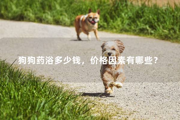 狗狗药浴多少钱，价格因素有哪些？