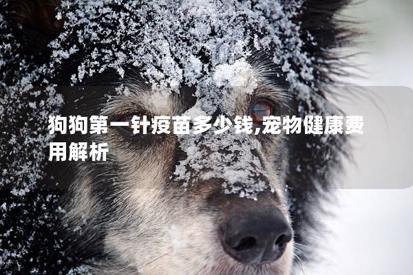 狗狗第一针疫苗多少钱,宠物健康费用解析