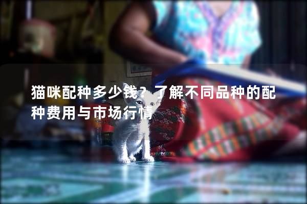 猫咪配种多少钱？了解不同品种的配种费用与市场行情