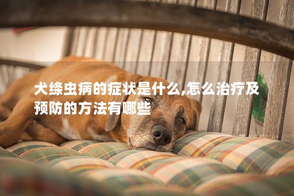 犬绦虫病的症状是什么,怎么治疗及预防的方法有哪些