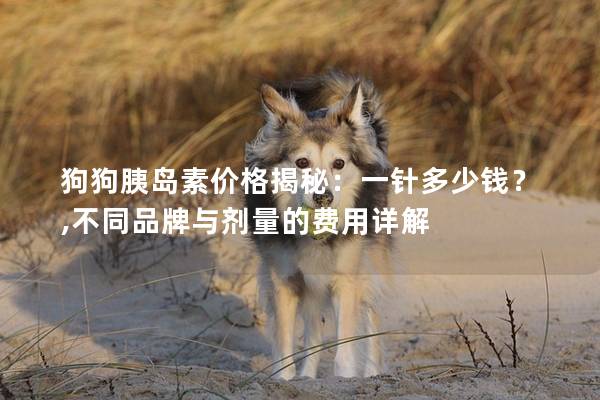 狗狗胰岛素价格揭秘：一针多少钱？,不同品牌与剂量的费用详解