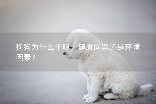 狗狗为什么干呕，健康问题还是环境因素？