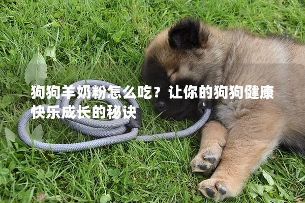 狗狗羊奶粉怎么吃？让你的狗狗健康快乐成长的秘诀