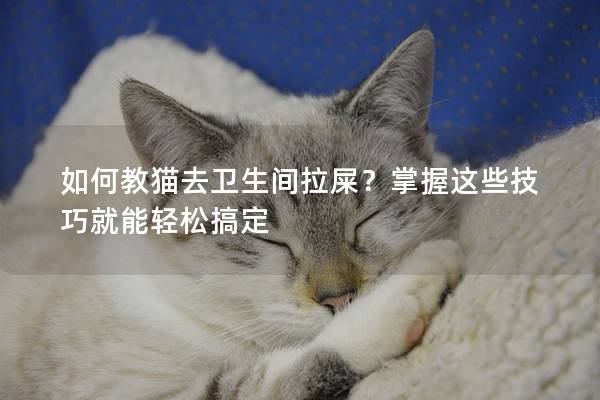 如何教猫去卫生间拉屎？掌握这些技巧就能轻松搞定