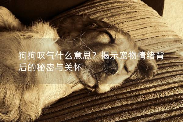 狗狗叹气什么意思？揭示宠物情绪背后的秘密与关怀