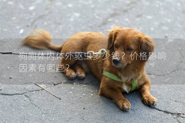 狗狗体内体外驱虫多少钱？价格影响因素有哪些？