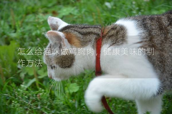 怎么给猫咪做鸡胸肉，健康美味的制作方法