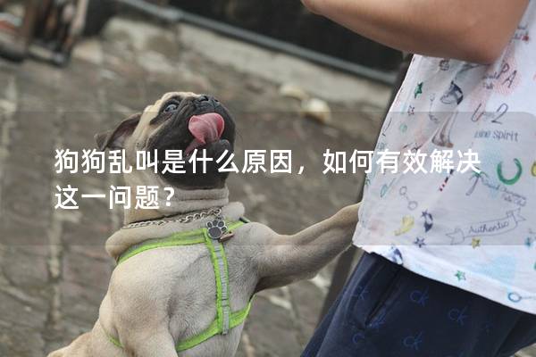 狗狗乱叫是什么原因，如何有效解决这一问题？