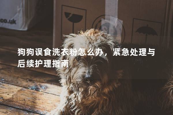 狗狗误食洗衣粉怎么办，紧急处理与后续护理指南