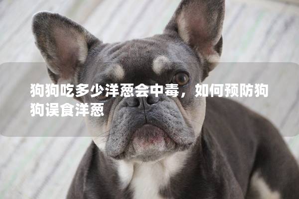 狗狗吃多少洋葱会中毒，如何预防狗狗误食洋葱