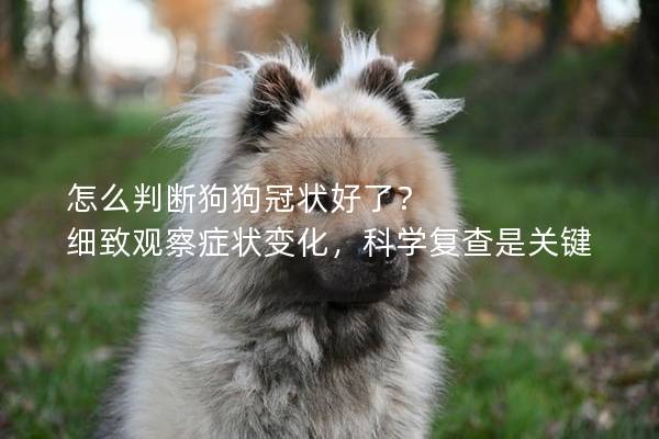 怎么判断狗狗冠状好了？ 细致观察症状变化，科学复查是关键