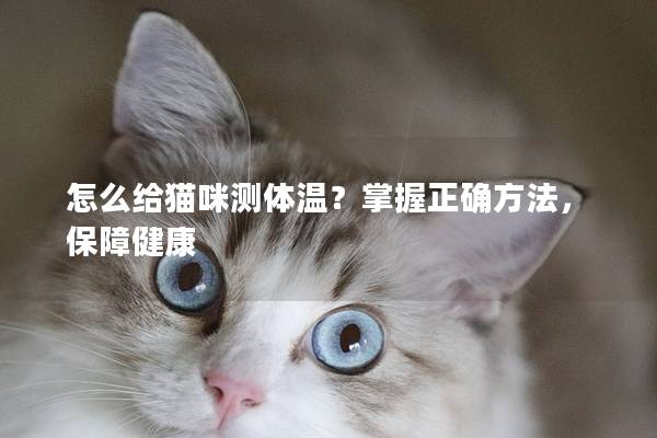 怎么给猫咪测体温？掌握正确方法，保障健康