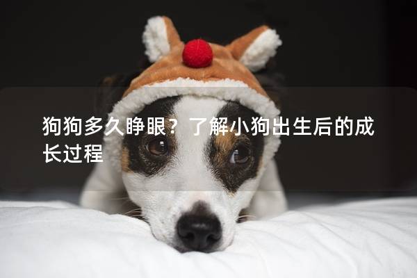 狗狗多久睁眼？了解小狗出生后的成长过程