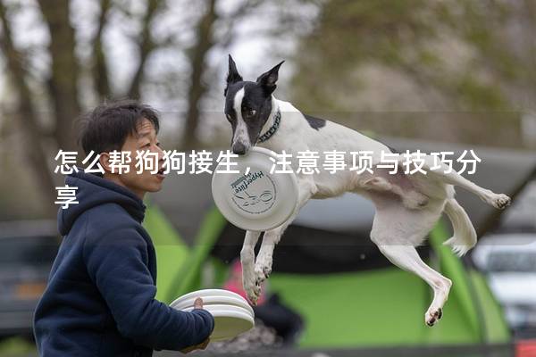 怎么帮狗狗接生，注意事项与技巧分享