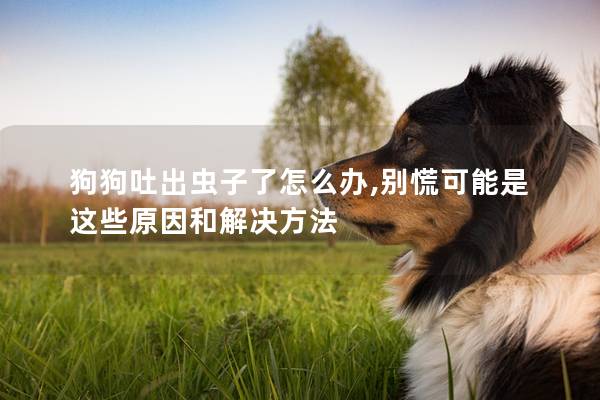 狗狗吐出虫子了怎么办,别慌可能是这些原因和解决方法