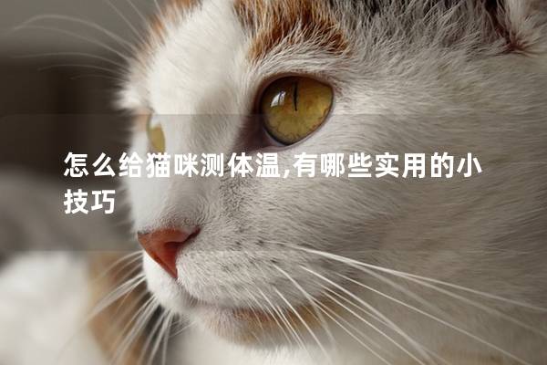怎么给猫咪测体温,有哪些实用的小技巧