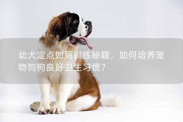 幼犬定点如厕训练秘籍，如何培养宠物狗狗良好卫生习惯？