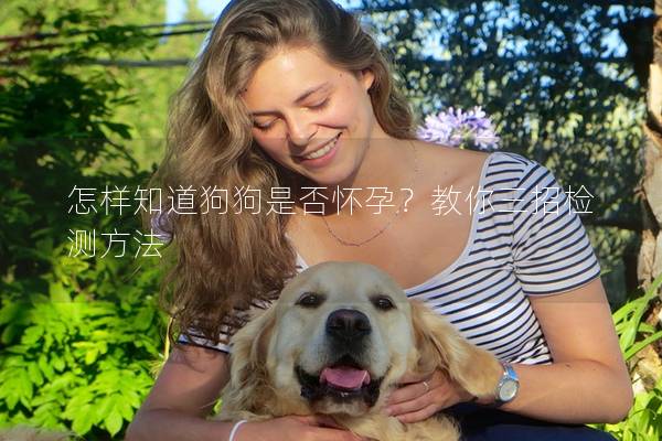 怎样知道狗狗是否怀孕？教你三招检测方法