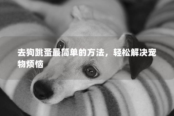 去狗跳蚤最简单的方法，轻松解决宠物烦恼