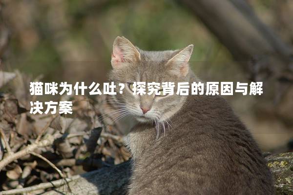 猫咪为什么吐？探究背后的原因与解决方案