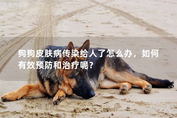 狗狗皮肤病传染给人了怎么办，如何有效预防和治疗呢？