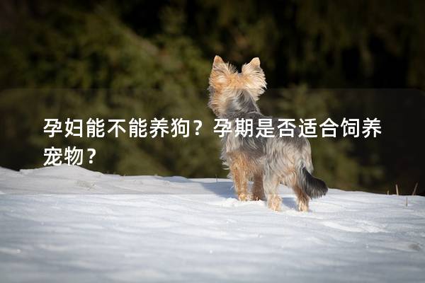孕妇能不能养狗？孕期是否适合饲养宠物？