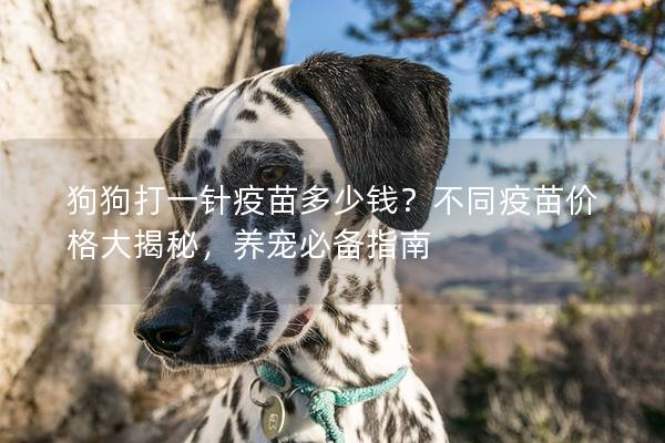 狗狗打一针疫苗多少钱？不同疫苗价格大揭秘，养宠必备指南