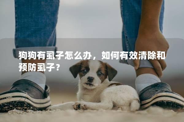 狗狗有虱子怎么办，如何有效清除和预防虱子？