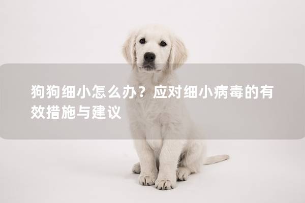 狗狗细小怎么办？应对细小病毒的有效措施与建议