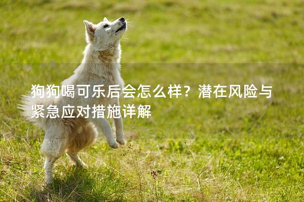 狗狗喝可乐后会怎么样？潜在风险与紧急应对措施详解